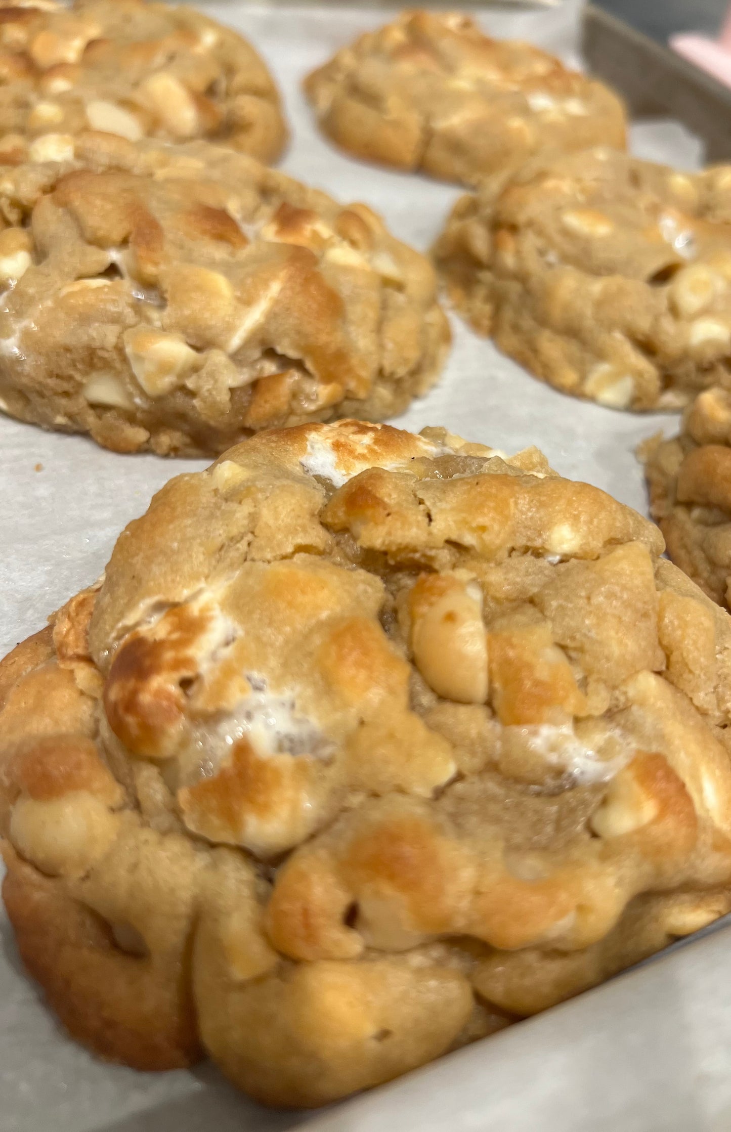 White Chocolate Macadamia